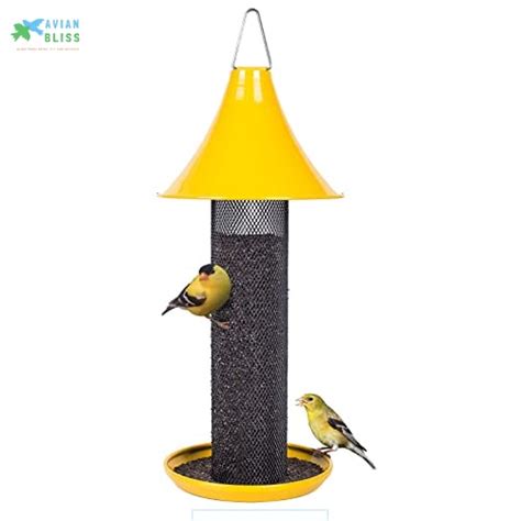 8 Essential Bird Feeder Types for Your Backyard