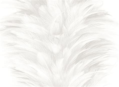 Premium Photo | White feather texture background