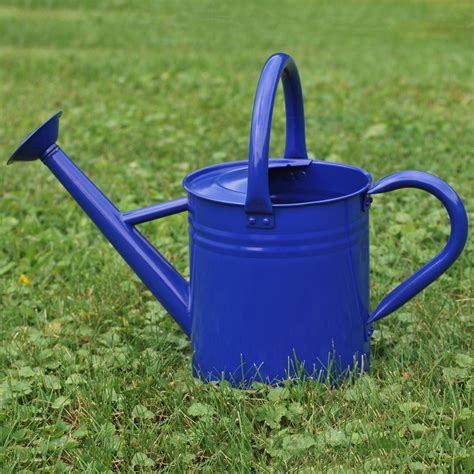 Gardener Select GSAW3003P6DB 3.5-Liter Watering Can, Blue