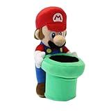 Super Mario Warp Pipe Planter