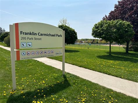 Carmichael Park could be a diamond in the 'ruff' this winter - Orillia News