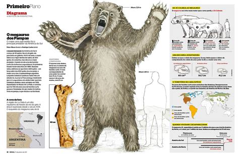 Arctotherium angustidens - Carnivora