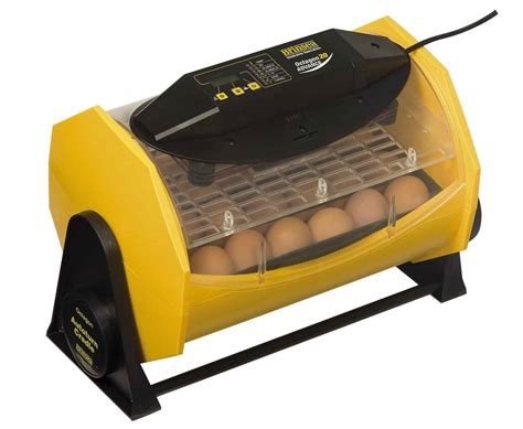 The Best Incubator For Chicken Eggs - Our Top 7 Picks