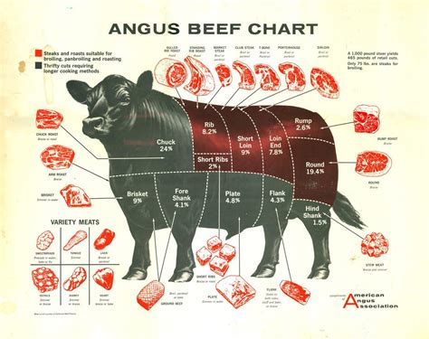 Angus Beef Chart Butcher Cuts Of Meat - Beef Poster