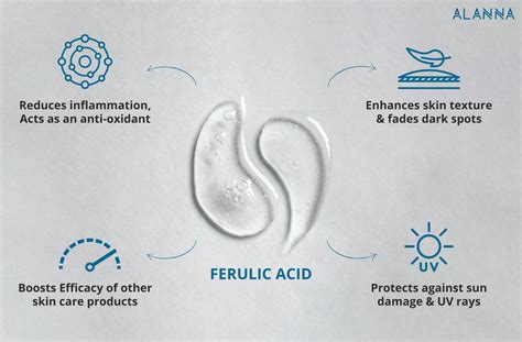 Ferulic Acid Benefits | Plamed Group