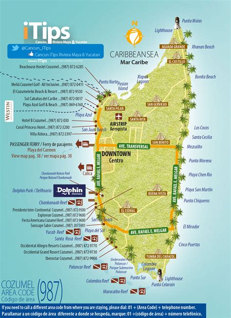 Map Of Cozumel And Cancun - Shari Demetria