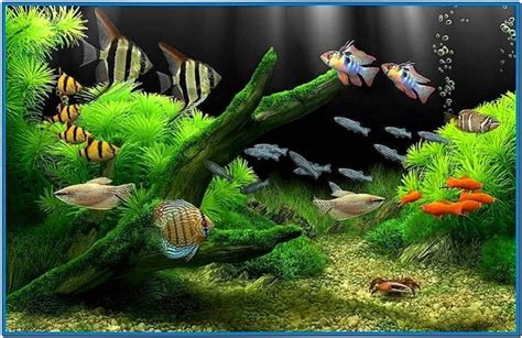 Real Fish Aquarium Screensaver - Download-Screensavers.biz