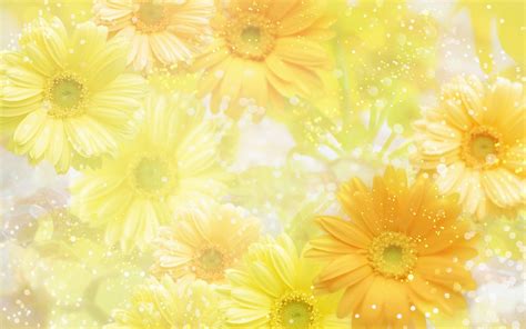 yellow, nature - 274868 | Yellow flower wallpaper, Spring wallpaper hd ...