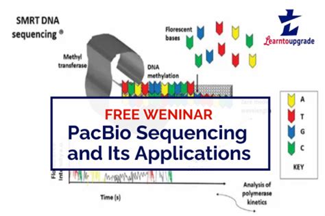 PacBio Sequencing and Its Applications