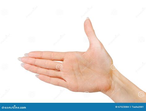 Woman Hand Palm Gesture Isolated on White Stock Photo - Image of ...