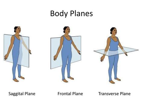 Planes Of The Body