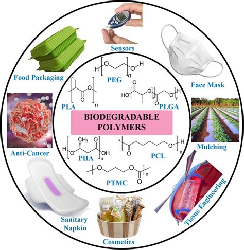 Schematic representation of diverse biodegradable polymers and their ...