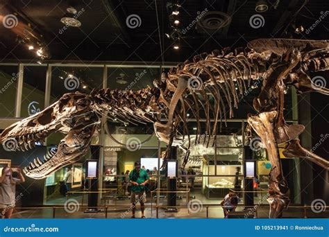 Dinosaur Exhibit at Royal Tyrrell Museum in Drumheller, Canada ...