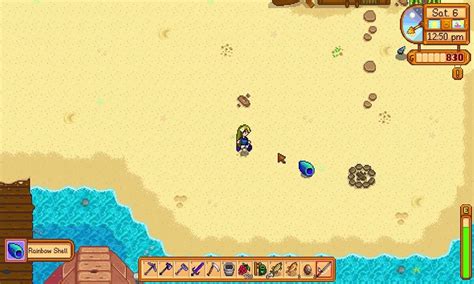 How to Get a Rainbow Shell in Stardew Valley?