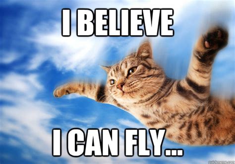 I BELIEVE I CAN FLY CAT memes | quickmeme