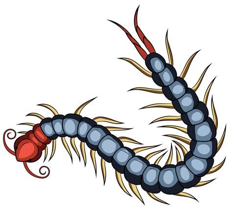 centipede images clipart 10 free Cliparts | Download images on ...