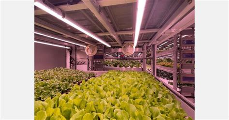 Vertical Farm Daily on LinkedIn: Saudi Arabia: "Greenhouse and vertical ...