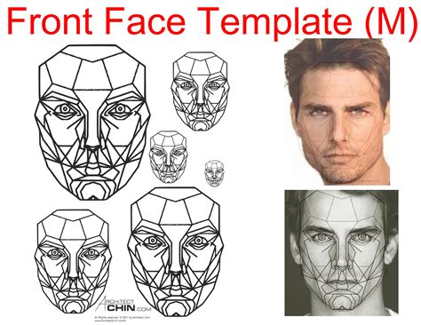 Male Face Template, Male Face Ratio, Male Face Grid, Front Face ...