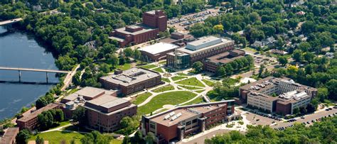 Trees removed for campus safety reasons