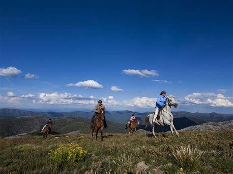 Horse riding, Outdoor and adventure, Victoria, Australia