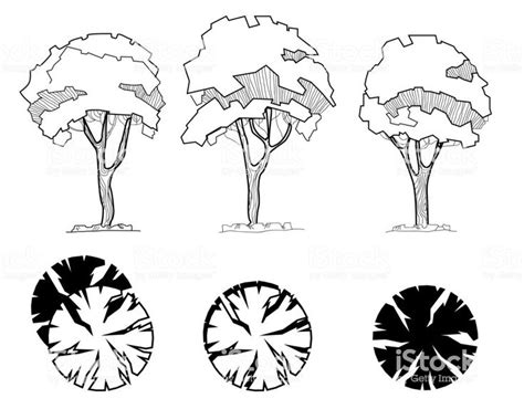 Trees for a landscape design. Different hand drawn trees isolated on ...