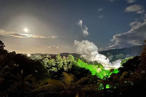 Geyser By Night at Te Puia | Rotorua NZ