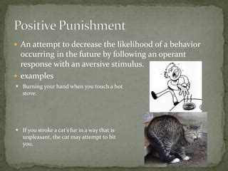 Reinforcement and punishment | PPT | Free Download