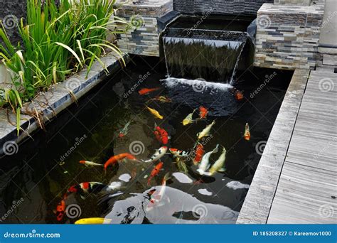 Modern Fish Pond Designs With Waterfalls - K0nem