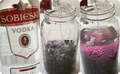 Homemade Cassis | Recipe | Homemade drinks, Homemade, Vodka recipes