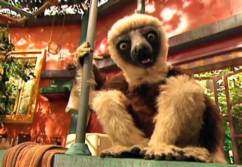 Happy Lemur Day | The Zoboomafoo Wiki | FANDOM powered by Wikia