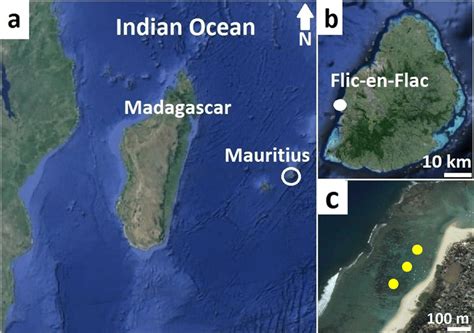 Mauritius Map Indian Ocean | Cities And Towns Map