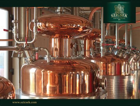 Hungarian Palinka - Four phases of making | Szicsek Palinka Distillery