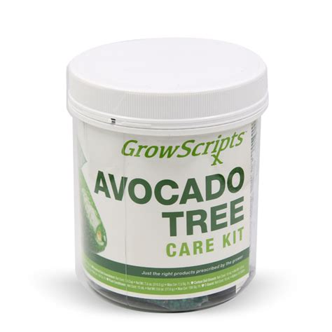 Avocado Tree Care Kit | Avocado Plant Food & Fertilizer | Citrus.com