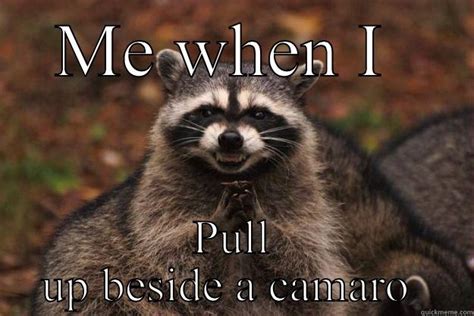 Funny lil coon - quickmeme