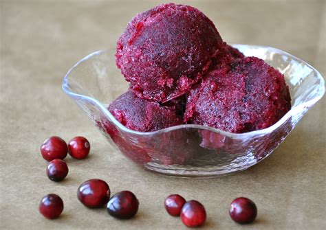 Cranberry Red Wine Sorbet | Just a Taste