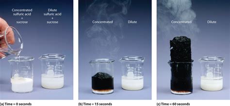 Factors That Affect Reaction Rates