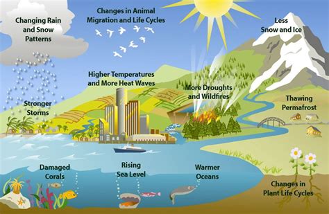 Natural Resources Conservation - Types & Importance | Environmental ...