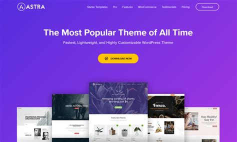 The Best WordPress Themes You Should Consider Using in 2024