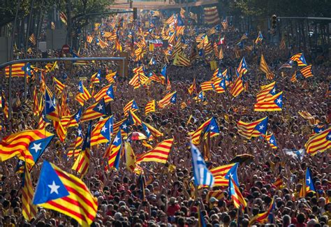 Doubts over Catalan as EU language create a headache for Spain’s ...