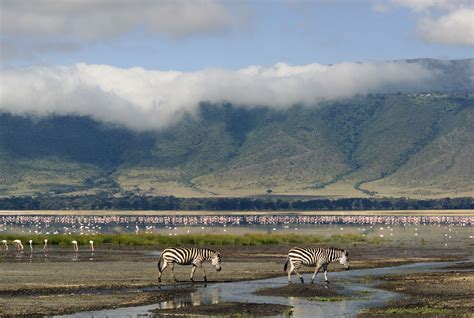 Ngorongoro Conservation Area: The Complete Guide