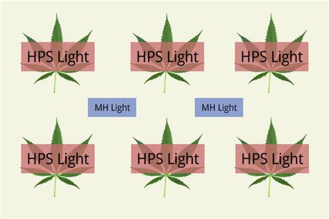 The Ideal Marijuana Grow Light Setup — Grow Light Central