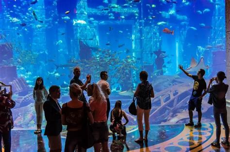 Lost Chambers Aquarium – Atlantis The Palm Aquarium, Dubai