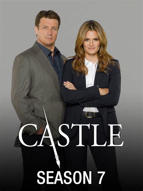 Castle TV Series Seasons 1-8 Complete DVD Box Set — DVD Worldwide ...