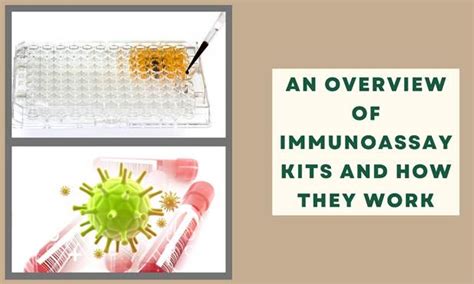 An Overview of Immunoassay Kits and How They Work - Biomatik