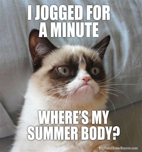 Where's my summer body? | Funny grumpy cat memes, Grumpy cat quotes ...