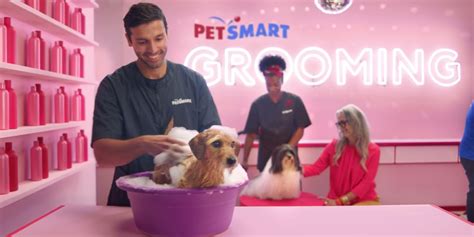 PetSmart Grooming Prices (2023 Updated) – Discovering Employment Paths ...