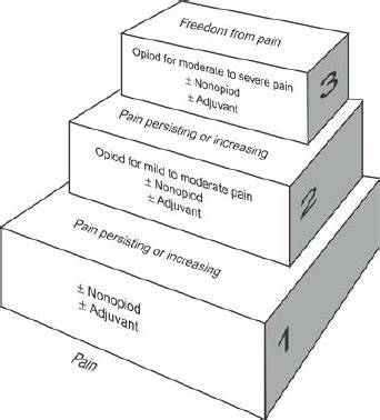 WHO ́s pain ladder. If pain occurs, there should be prompt oral ...