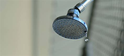 Leaking Shower - 8 Causes and Solutions | My Plumber