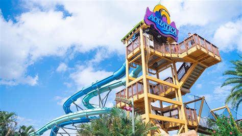 Aquatica Orlando: Ultimate Guide for Families (2024) - FamilyVacationist