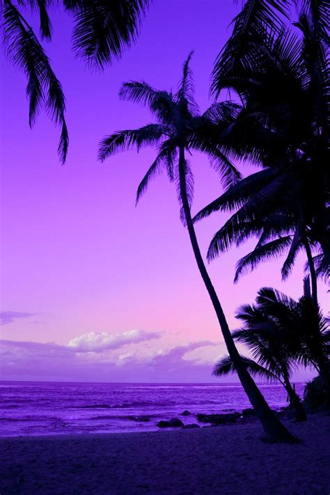 beautiful beach | Purple sunset, Beautiful sunset, Beautiful landscapes